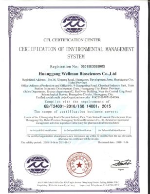 环境管理24001-2016(英文)